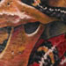 Tattoos - skull and snake - 30152